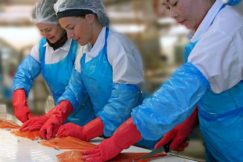 Fiskeforedling hos Inka AS